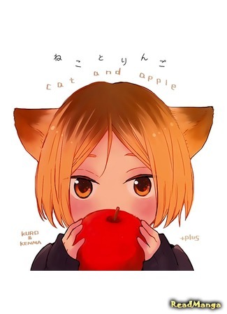 Кот и яблоко
