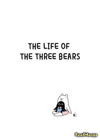 Жизнь трех медведей