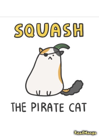 Сквош — кот-пират